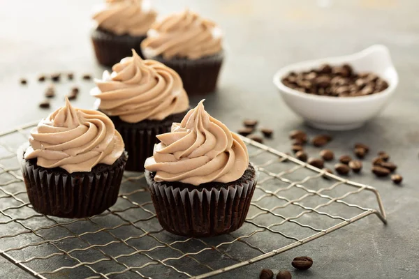 Cupcakes expresso au chocolat — Photo