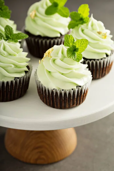 Chocolate mint cupcakes with green frosting — Stock Photo, Image