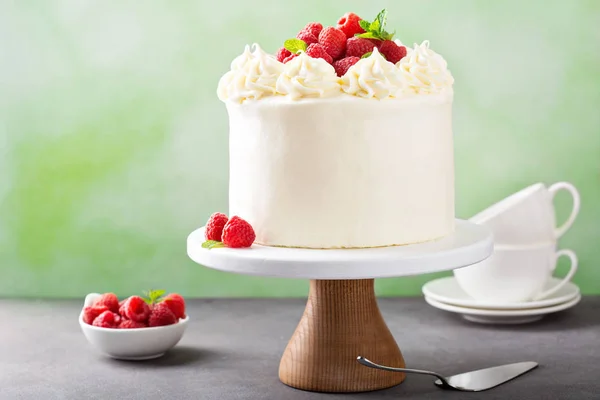 흰 설탕과 바닐라 라즈베리 케이크 — 스톡 사진