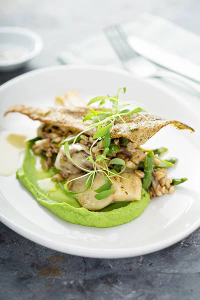 Gourmet grilled trout with crisped skin — Stock Photo, Image