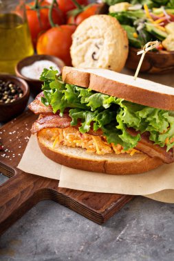 Yenibahar peynirli sandviç pastırma ile