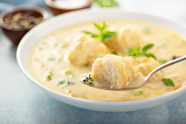 닭고기 만두 수프 — 스톡 사진