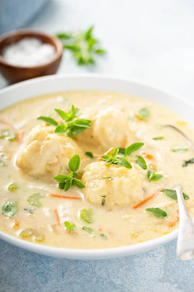 닭고기 만두 수프 — 스톡 사진