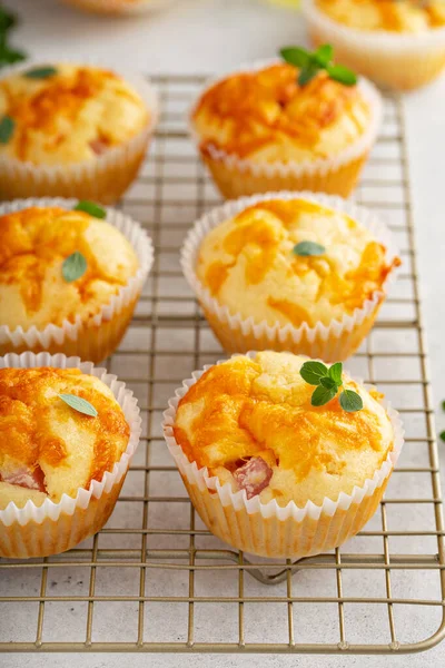 Muffins mit Schinken und Käse — Stockfoto