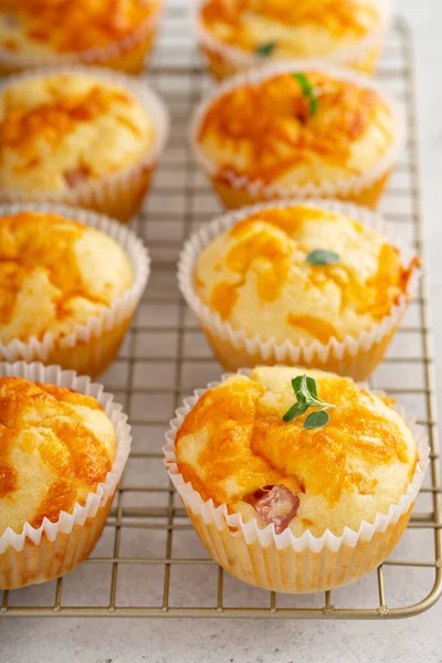 Muffins mit Schinken und Käse — Stockfoto