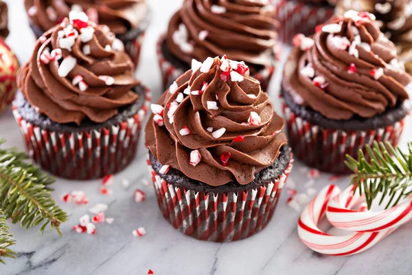 Chocolate peppermint cupcakes — Stock Photo, Image