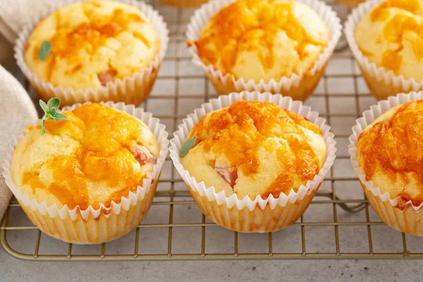 Muffins au jambon et fromage — Photo