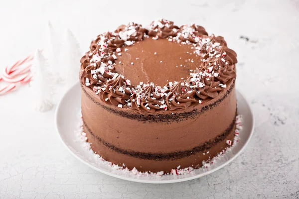 Pfefferminzschokoladenkuchen — Stockfoto