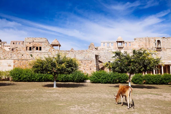 Palais Maharana Kumbh (Mahal) à Chittorgarh Fort, Chittorgarh , — Photo