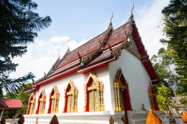 Tapınak koh phangan