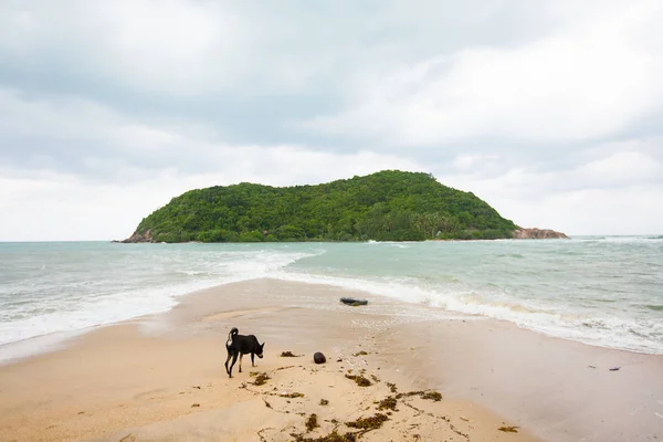 Tropisch strand op ko ma — Stockfoto