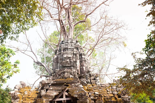 Ta som 寺院、アンコール地域、シェムリ アップ、カンボジア — ストック写真