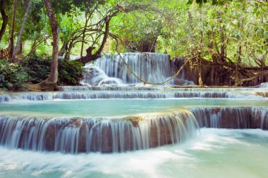 Laos derin orman kuangsi şelale