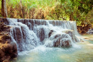 Laos derin orman kuangsi şelale
