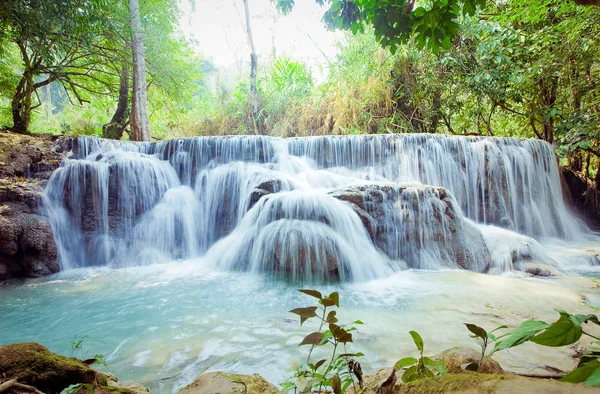 Kuangsi vodopád v hlubokém lese v Laosu — Stock fotografie