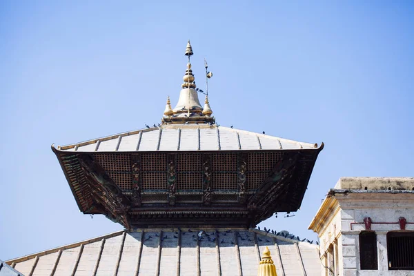 Pashupatinath Tapınağı Katmandu, Nepal — Stok fotoğraf