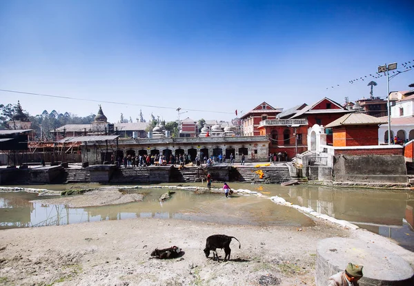Kathmandu, Nepal-februari 7, 2017: Hindoe ritueel van crematie — Stockfoto