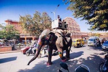 Jaipur, Hindistan - Jan 17: Hawa Mahal veya yer rüzgarlar veya esinti J