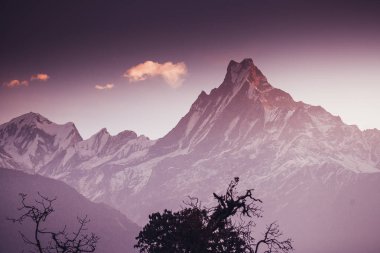 Annapurna alan dağlar Nepal Himalayalar