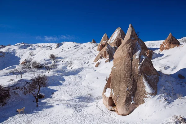 Vista del valle en temporada de invierno, Parque Nacional Capadocia, Turke — Foto de Stock