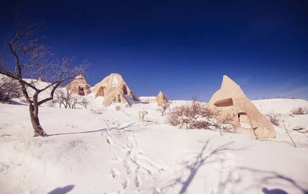 Widok na dolinę w sezonie zimowym, park narodowy Cappadocia, Shaki — Zdjęcie stockowe