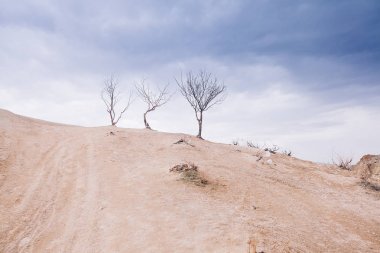 Alanlar, fırtına bulutları ve ağaçlar