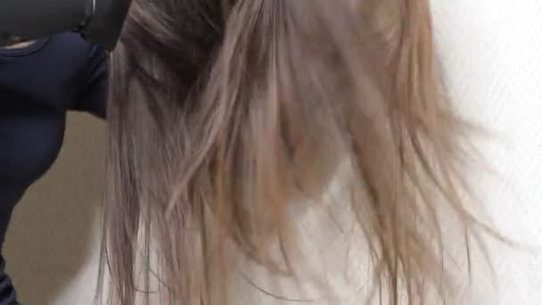 Nahaufnahme Video Einer Frau Die Haare Trocknet Mit Schwarzem Haartrockner — Stockvideo