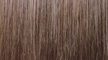 Uzun kahverengi kadın saçlarını taramak için tarak kullanarak, videoyu kapat