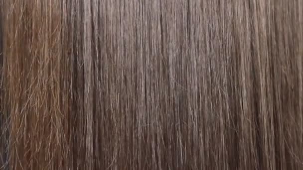 Usando Pente Para Estilizar Cabelo Longo Das Mulheres Marrons Close — Vídeo de Stock