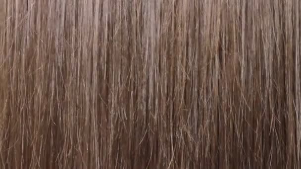 Использование Расческу Стиль Длинные Коричневые Волосы Женщин Закрыть Видео — стоковое видео