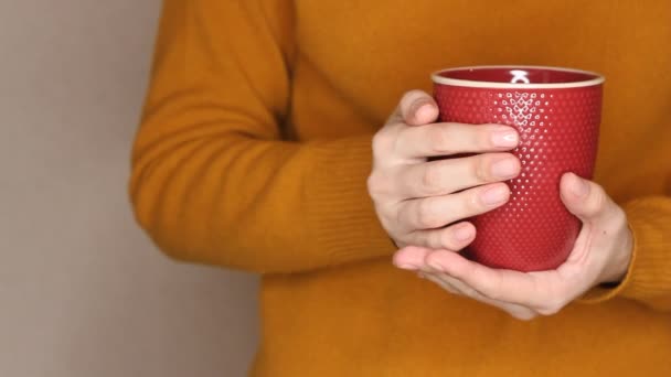 黄色のセーターの若い女性はお茶やコーヒーの赤いカップを保持しています 熱い飲み物で手を暖めようとして手を変える — ストック動画