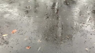 Şehirdeki ilk kar yavaşça asfalta düşüyor.