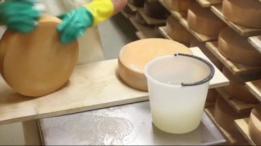 Peynir üreticisi peynirin baharatını kontrol ediyor ve tuzlu suyla temizliyor.. 
