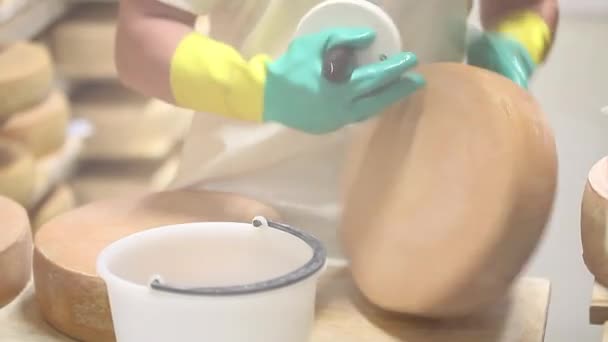 Sýrař kontroluje ochucení sýra a čistí ho slanou vodou. — Stock video