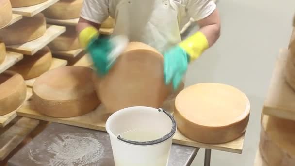 Cheesemaker sta controllando il condimento del formaggio e pulirlo con acqua salata . — Video Stock