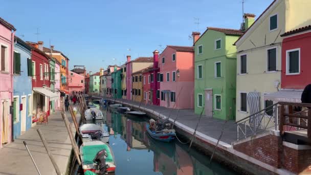 Burano Italy January 2020 Colorful Houses Island Burano Italy Burano — Stock Video