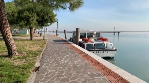 イタリアのブラノ 2020年1月20日 イタリアのブラノ島の中央広場 ブラーノ島は そのカラフルな漁師の家で有名です — ストック動画