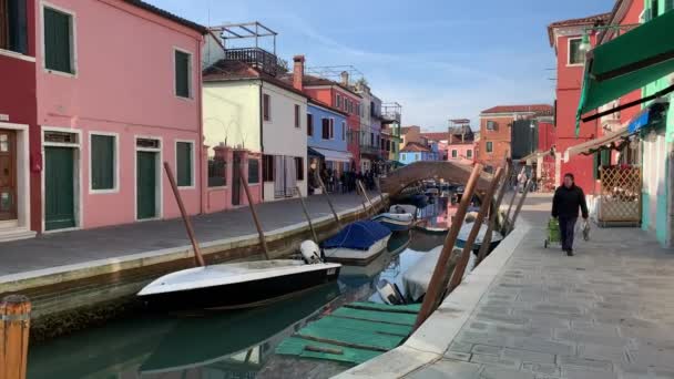 Burano Włochy Stycznia 2020 Kolorowe Domy Wyspie Burano Włoszech Wyspa — Wideo stockowe