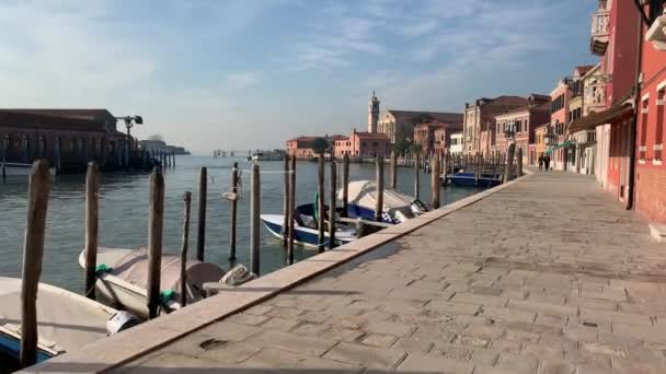 Murano Italie Janvier 2020 Île Murano Dans Lagune Venise Italie — Video