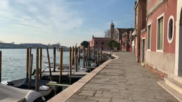 Murano Włochy Stycznia 2020 Wyspa Murano Lagunie Wenecji Włoszech — Wideo stockowe