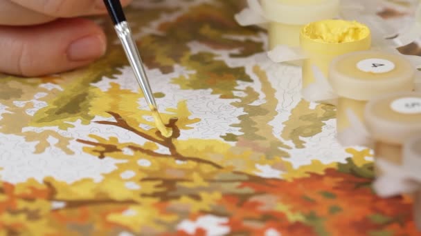 Розфарбування Картини Номерами Акриловими Фарбами Пензлем Фарбування Акриловими Фарбами Відповідно — стокове відео
