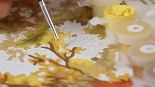 Coloriage Par Chiffres Avec Peintures Acryliques Avec Pinceau Peinture Avec — Video