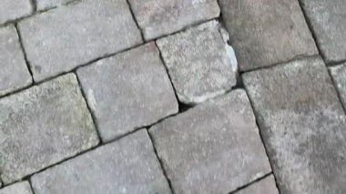 Siyah spor ayakkabılı ayaklar sett yol üzerinde adım şehir üzerinde yürüyor