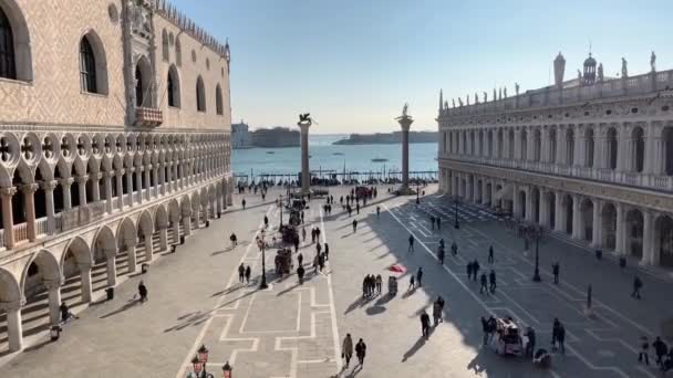Venice Italy January 2020 피아자 마르코 베네치아의 라파스 마르코 광장의 — 비디오
