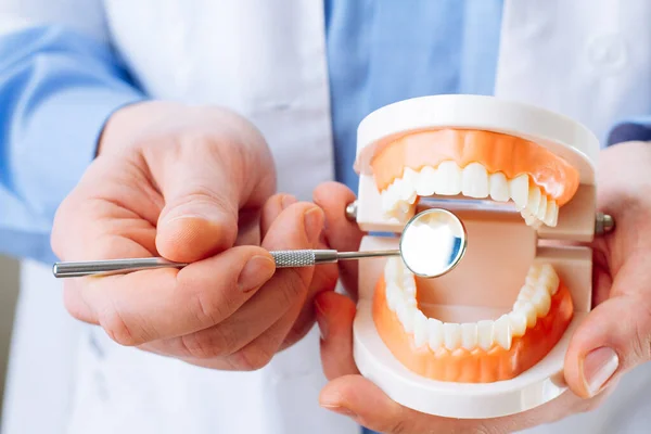 顎モデルと歯医者の口ミラーの閉鎖を示す歯科医 口腔ケアの概念 — ストック写真