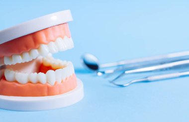 Diş modelinin makro çekimini mavi arka planda diş aletleriyle kapatın. Ağız bakımı kavramı