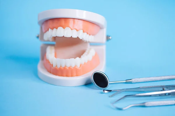 Primer Plano Macro Disparar Modelo Dientes Con Herramientas Dentales Sobre — Foto de Stock