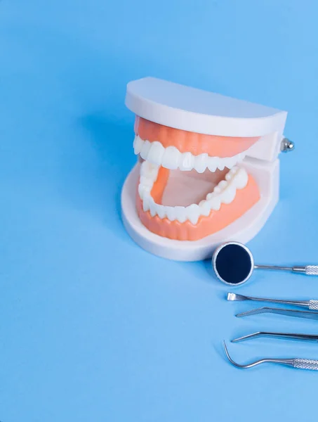 Zamknij Makro Pędu Modelu Zębów Narzędzi Dentystycznych Niebieskim Tle Koncepcja — Zdjęcie stockowe