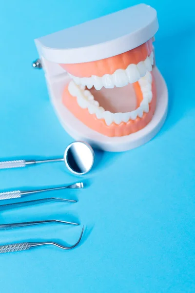 Nahaufnahme Makroaufnahme Des Zahnmodells Mit Zahnwerkzeugen Auf Blauem Hintergrund Konzept — Stockfoto