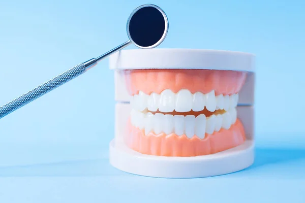 Primer Plano Macro Disparar Modelo Dientes Con Espejo Dental Sobre — Foto de Stock